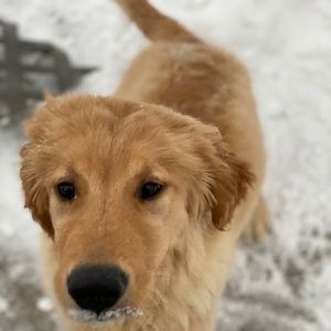 Meet your Posher, Gia